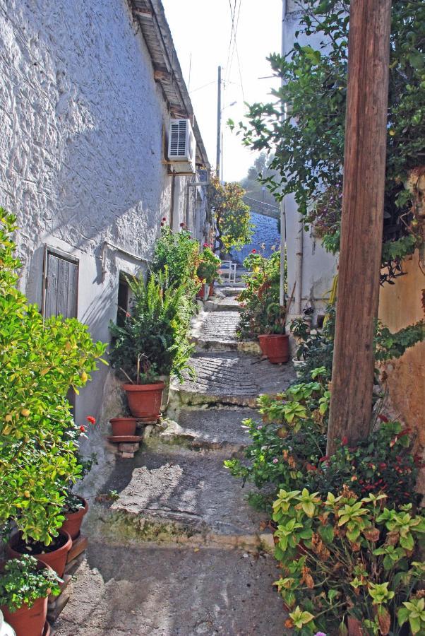 Christin P. Cute With Patio Apartament